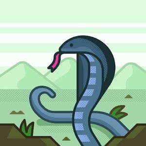 Meet your Posher, Kendyll